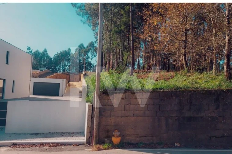 Terreno para Venda em Lobão, Gião, Louredo e Guisande Foto 5