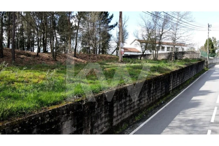 Terreno para Venda em Lobão, Gião, Louredo e Guisande Foto 27