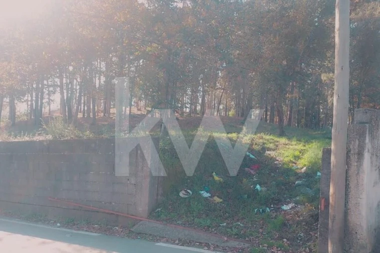 Terreno para Venda em Lobão, Gião, Louredo e Guisande Foto 12