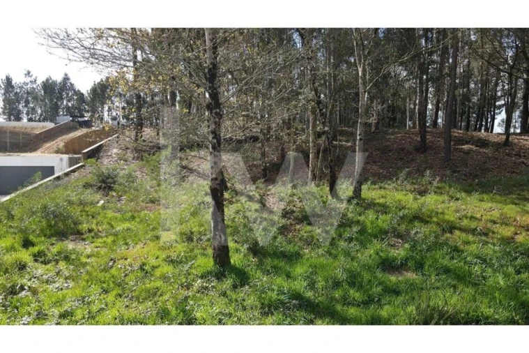 Terreno para Venda em Lobão, Gião, Louredo e Guisande Foto 29