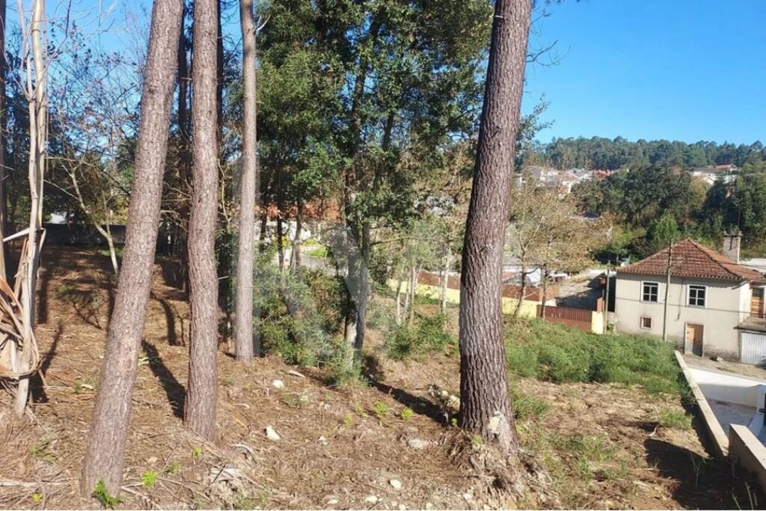 Terreno para Venda em Lobão, Gião, Louredo e Guisande Foto 15