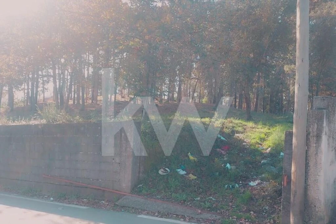 Terreno para Venda em Lobão, Gião, Louredo e Guisande Foto 12