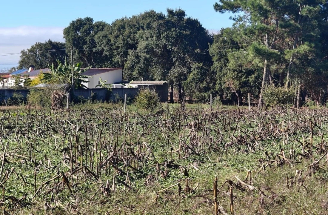 Terreno para Venda em Paião Foto 4