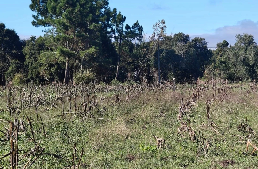 Terreno para Venda em Paião Foto 3