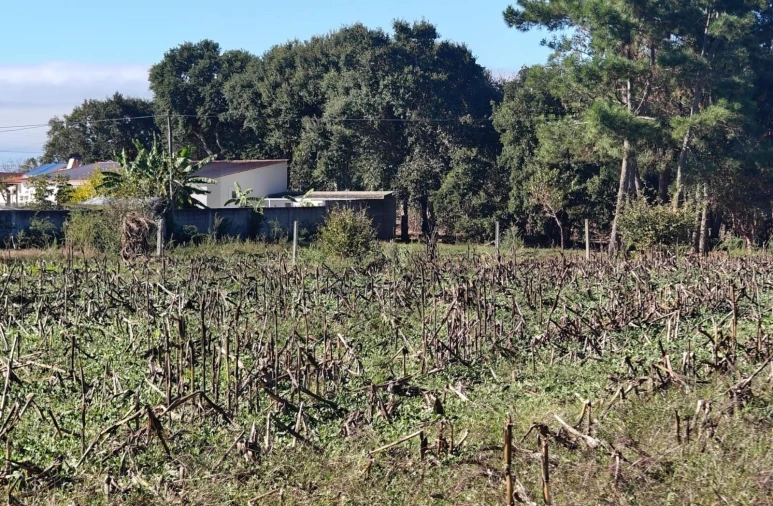 Terreno para Venda em Paião Foto 4