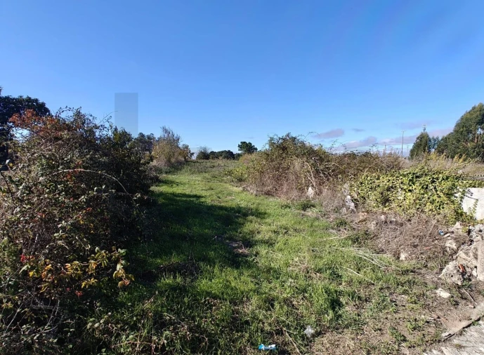 Terreno para Venda em Paião Foto 8