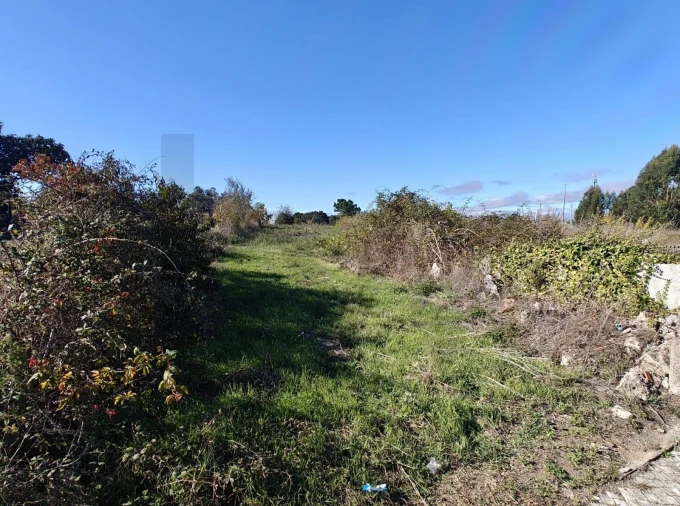 Terreno para Venda em Paião Foto 5