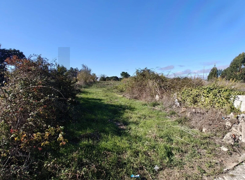 Terreno para Venda em Paião Foto 8