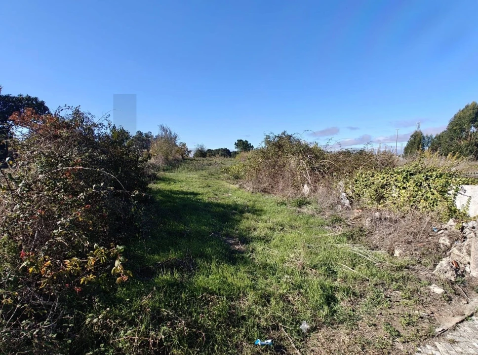 Terreno para Venda em Paião Foto 5
