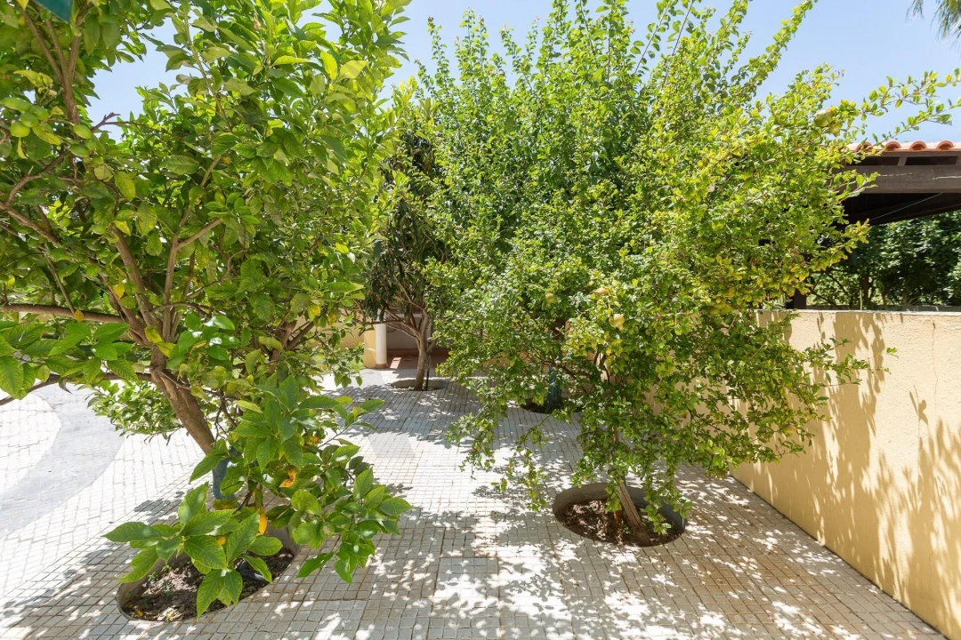 Moradia T5 para Venda em Laranjeiro e Feijó Foto 62