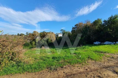 Terreno para Venda em Taveiro, Ameal e Arzila