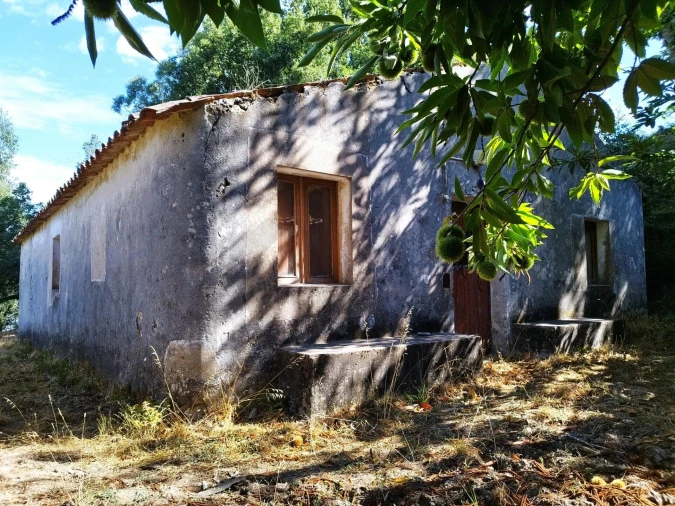 Quinta T4 para Venda em Monchique Foto 5