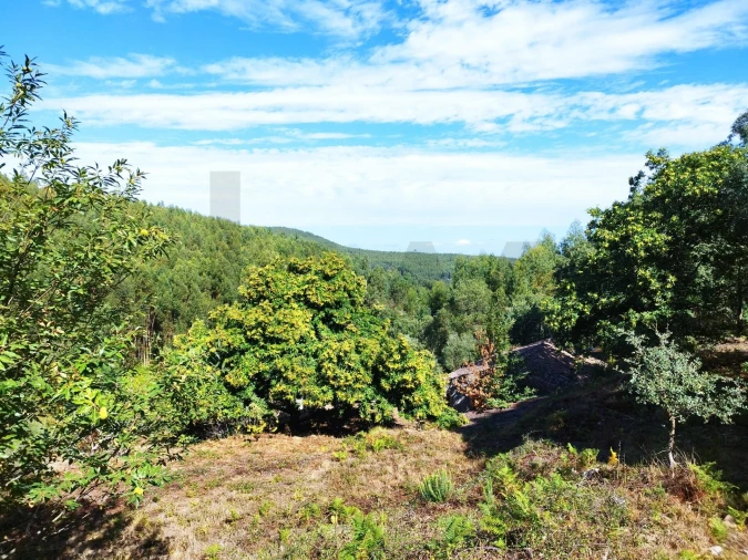 Quinta T4 para Venda em Monchique Foto 17