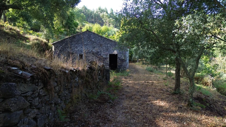 Quinta T4 para Venda em Monchique Foto 4