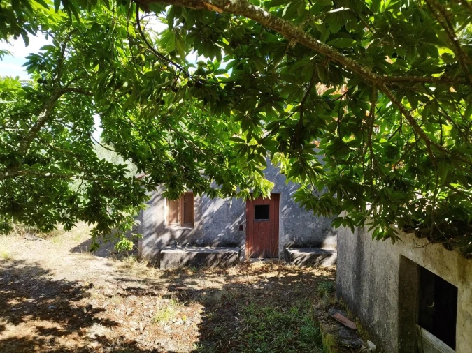 Quinta T4 para Venda em Monchique Foto 7