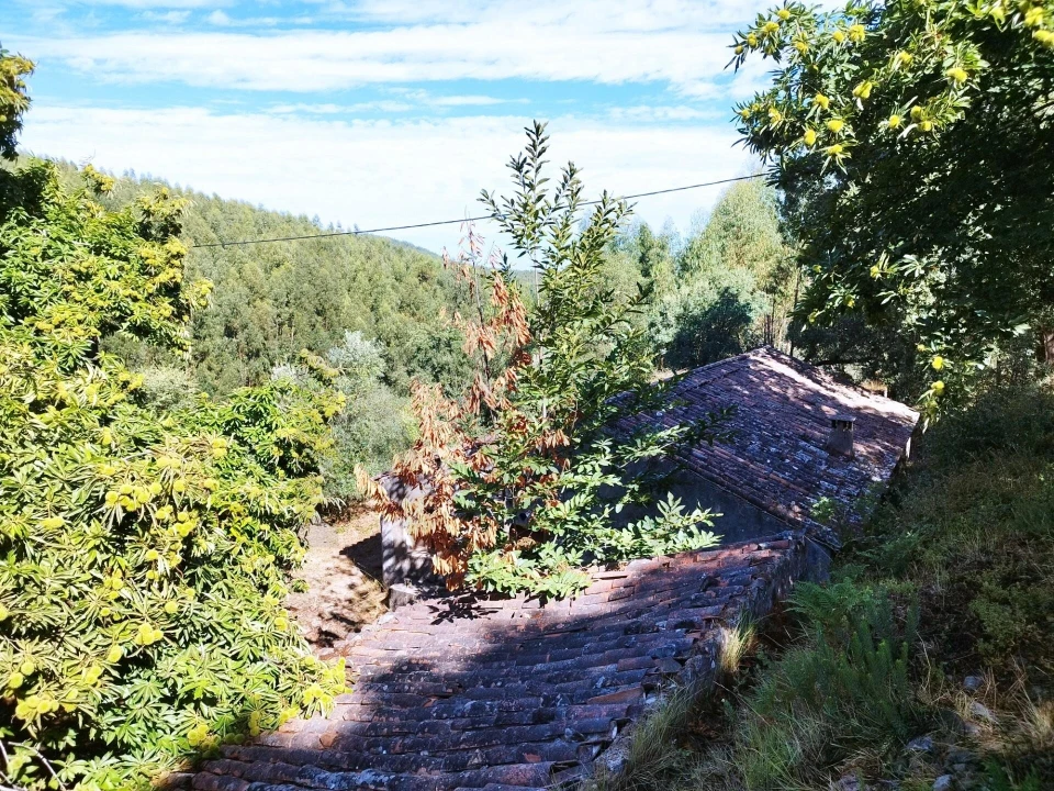 Quinta T4 para Venda em Monchique Foto 10