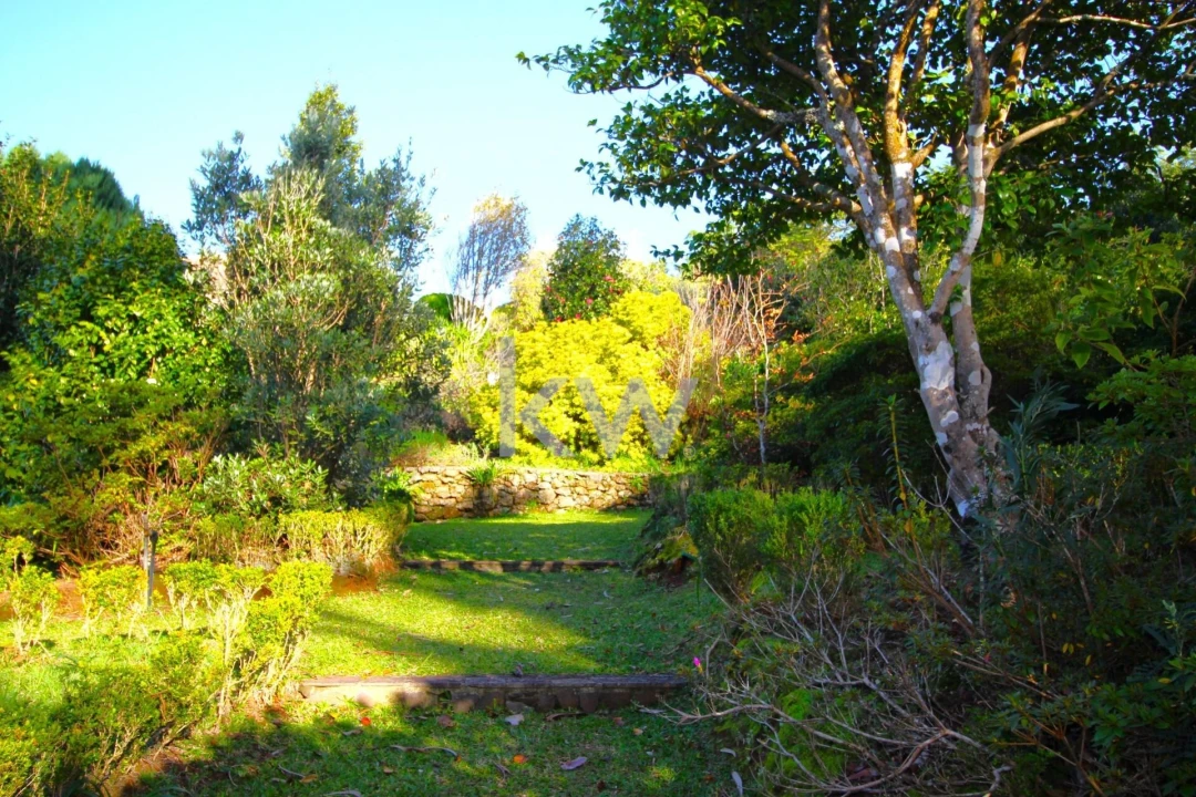 Quinta T9 para Venda em Santo Antonio da Serra Foto 64