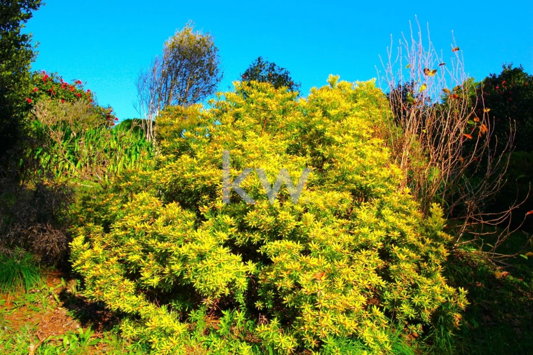 Quinta T9 para Venda em Santo Antonio da Serra Foto 65