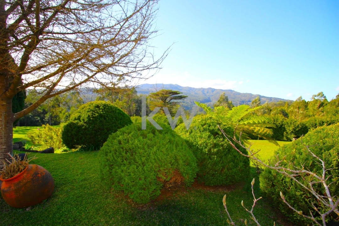 Quinta T9 para Venda em Santo Antonio da Serra Foto 15