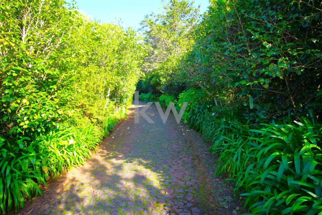 Quinta T9 para Venda em Santo Antonio da Serra Foto 67