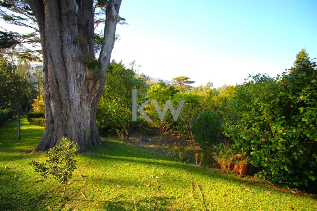 Quinta T9 para Venda em Santo Antonio da Serra Foto 56