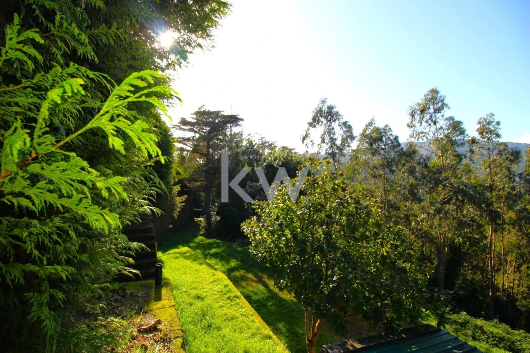 Quinta T9 para Venda em Santo Antonio da Serra Foto 46