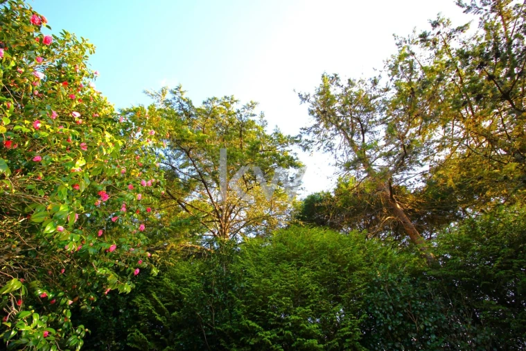 Quinta T9 para Venda em Santo Antonio da Serra Foto 69