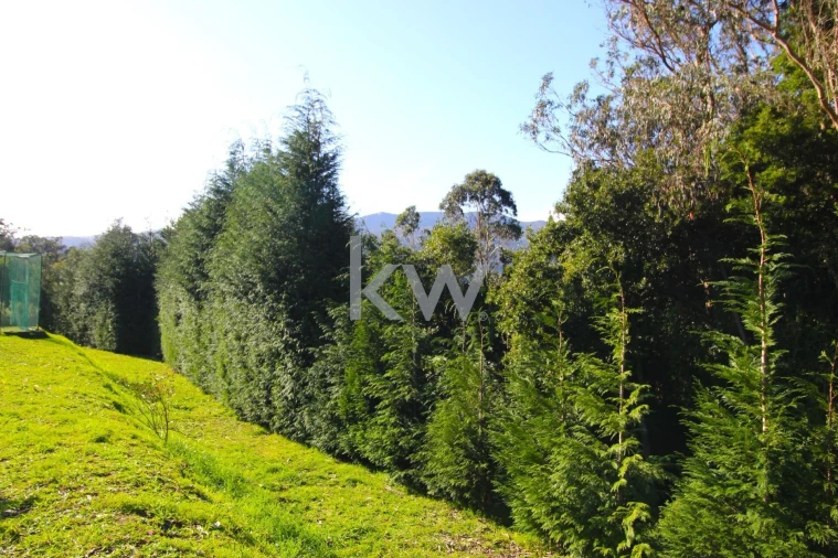 Quinta T9 para Venda em Santo Antonio da Serra Foto 45