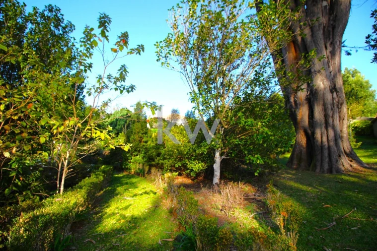 Quinta T9 para Venda em Santo Antonio da Serra Foto 55