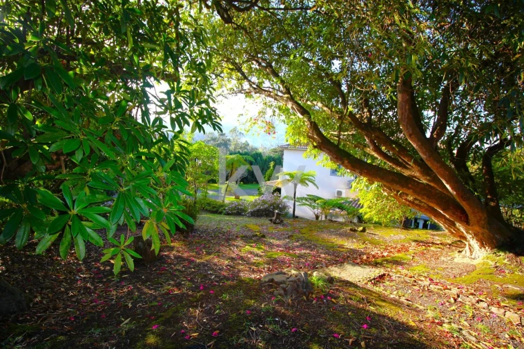 Quinta T9 para Venda em Santo Antonio da Serra Foto 82