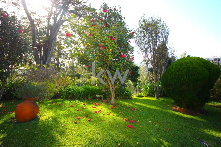 Quinta T9 para Venda em Santo Antonio da Serra Foto 35
