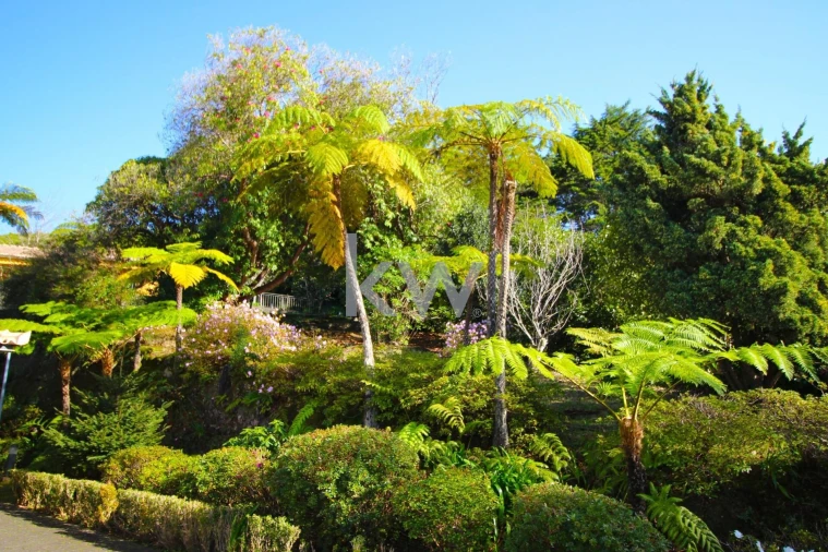 Quinta T9 para Venda em Santo Antonio da Serra Foto 1