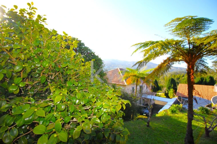 Quinta T9 para Venda em Santo Antonio da Serra Foto 80