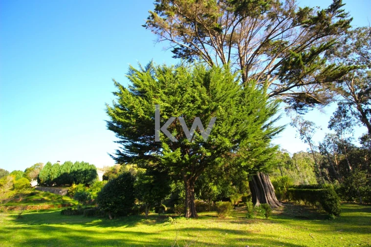 Quinta T9 para Venda em Santo Antonio da Serra Foto 51
