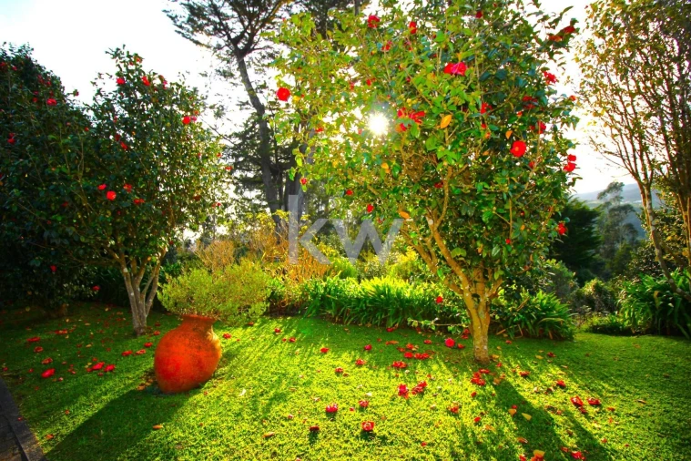 Quinta T9 para Venda em Santo Antonio da Serra Foto 39