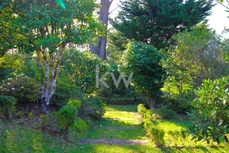 Quinta T9 para Venda em Santo Antonio da Serra Foto 61