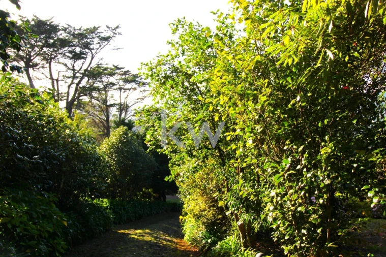 Quinta T9 para Venda em Santo Antonio da Serra Foto 70