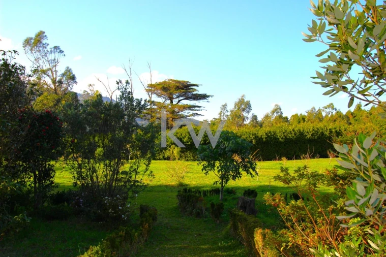 Quinta T9 para Venda em Santo Antonio da Serra Foto 63