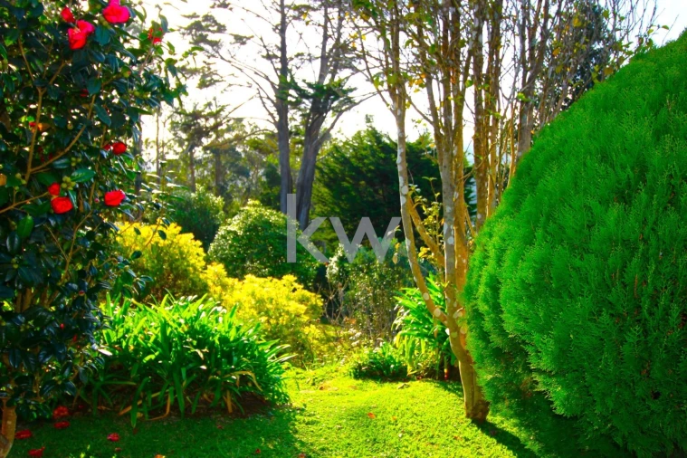 Quinta T9 para Venda em Santo Antonio da Serra Foto 37