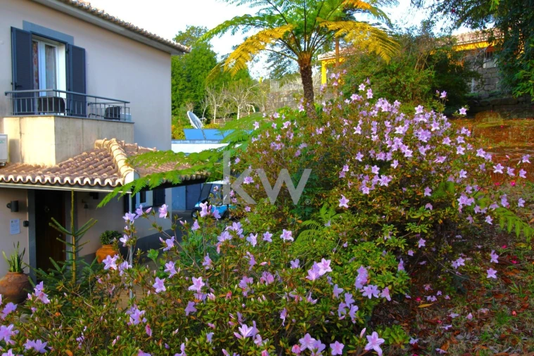 Quinta T9 para Venda em Santo Antonio da Serra Foto 83