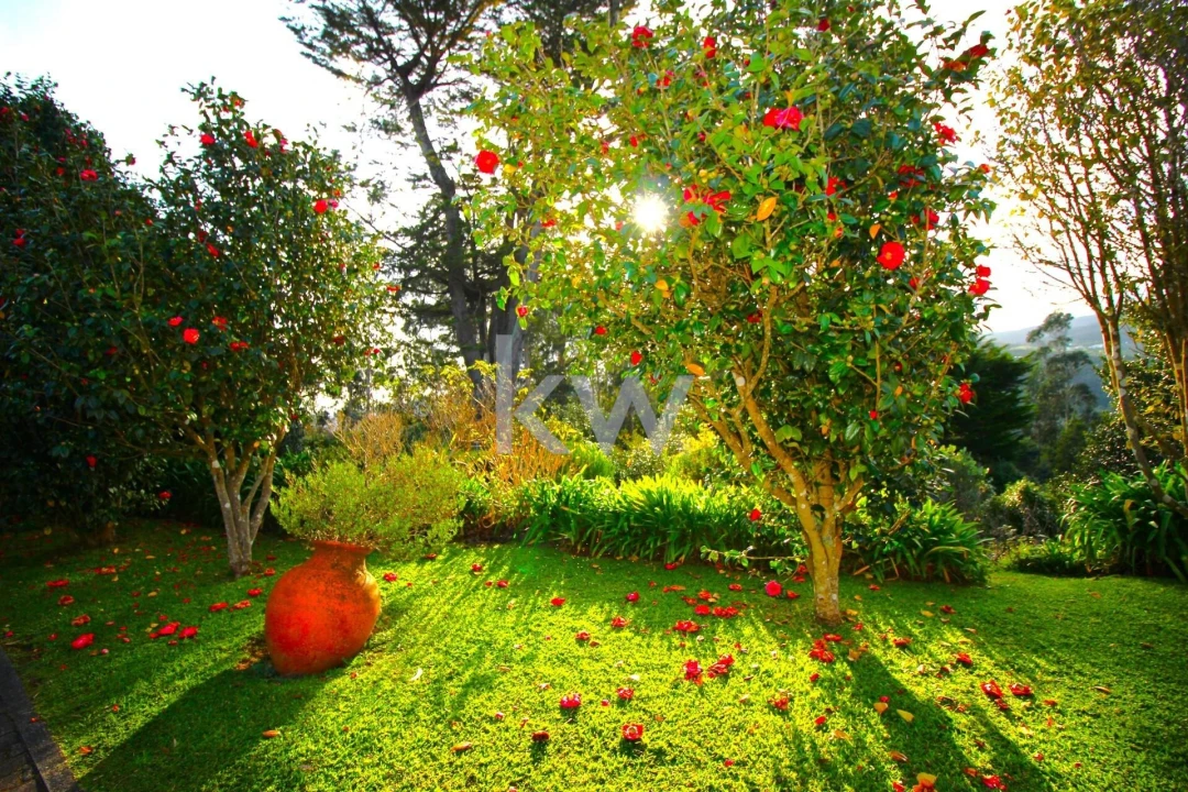 Quinta T9 para Venda em Santo Antonio da Serra Foto 39