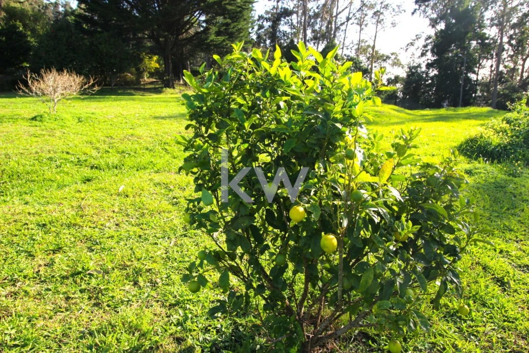 Quinta T9 para Venda em Santo Antonio da Serra Foto 49