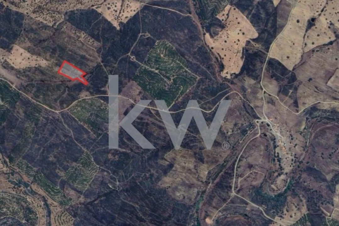 Terreno para Venda em Martim Longo Foto 2