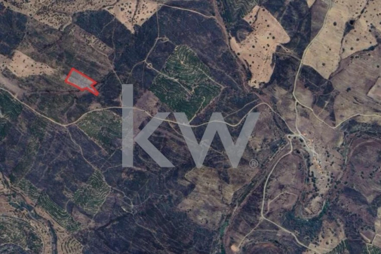 Terreno para Venda em Martim Longo Foto 2