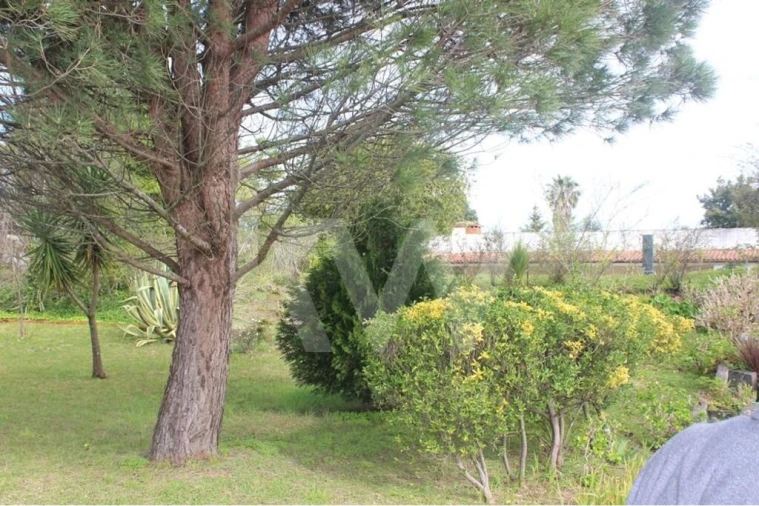 Moradia T7 para Venda em O. Azeméis, Riba-Ul, Ul, Macinhata Seixa, Madail Foto 9