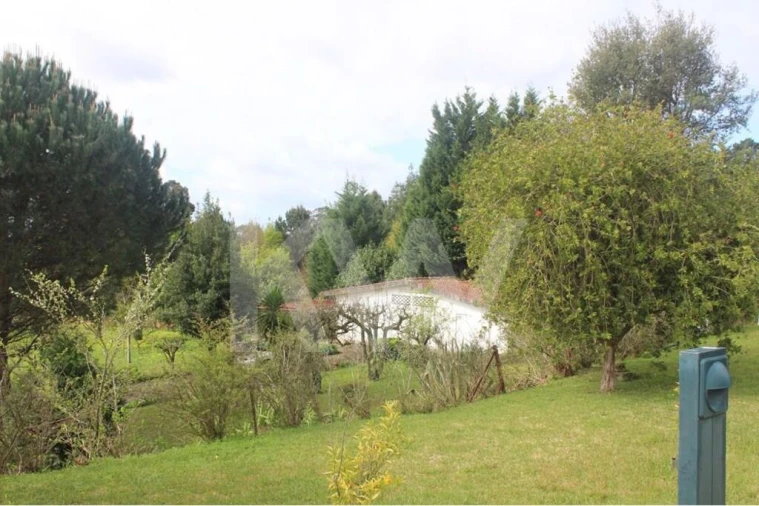 Moradia T7 para Venda em O. Azeméis, Riba-Ul, Ul, Macinhata Seixa, Madail Foto 17