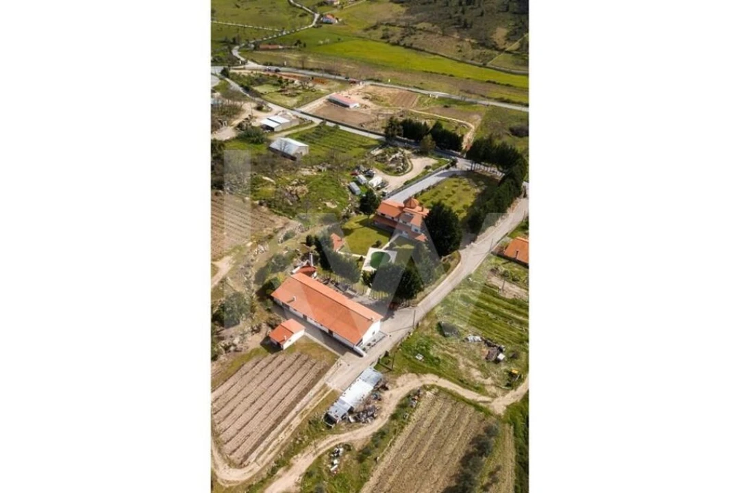 Quinta T8 para Venda em Belmonte e Colmeal da Torre Foto 6