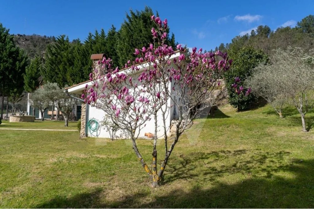 Quinta T8 para Venda em Belmonte e Colmeal da Torre Foto 71