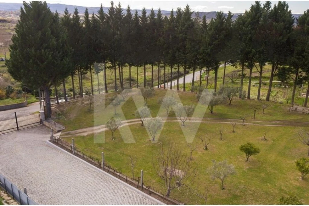 Quinta T8 para Venda em Belmonte e Colmeal da Torre Foto 11