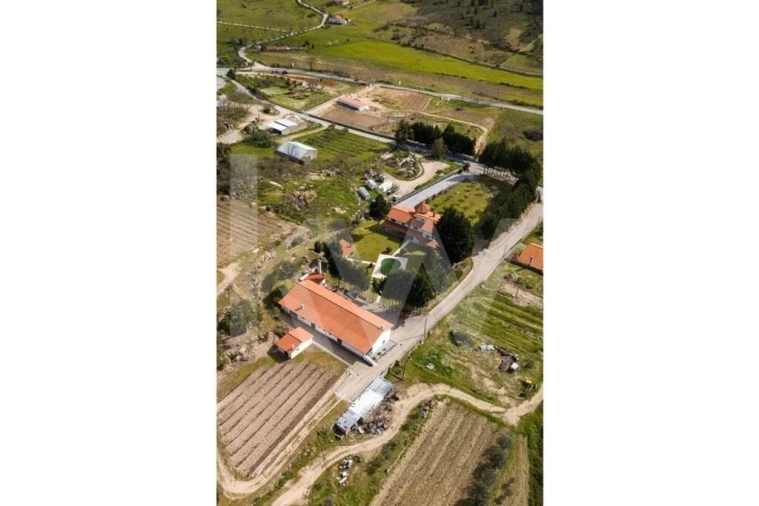 Quinta T8 para Venda em Belmonte e Colmeal da Torre Foto 6